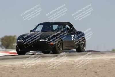 media/Jul-26-2025-Speed Ventures (Sat) [[fe569e6cf0]]/Purple Group/Grapevine/